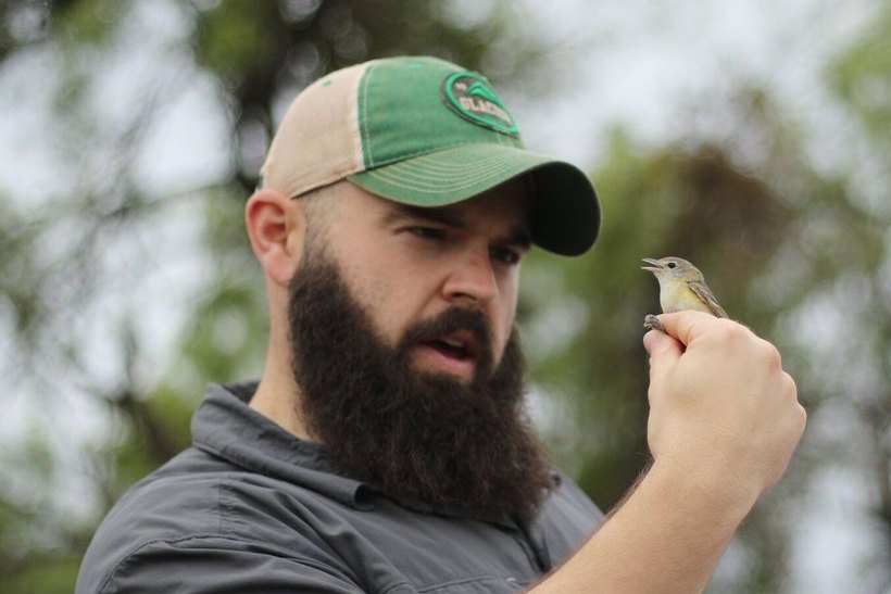 Blake Grisham holds a Bell’s Vireo in a bander’s grip at eye level.